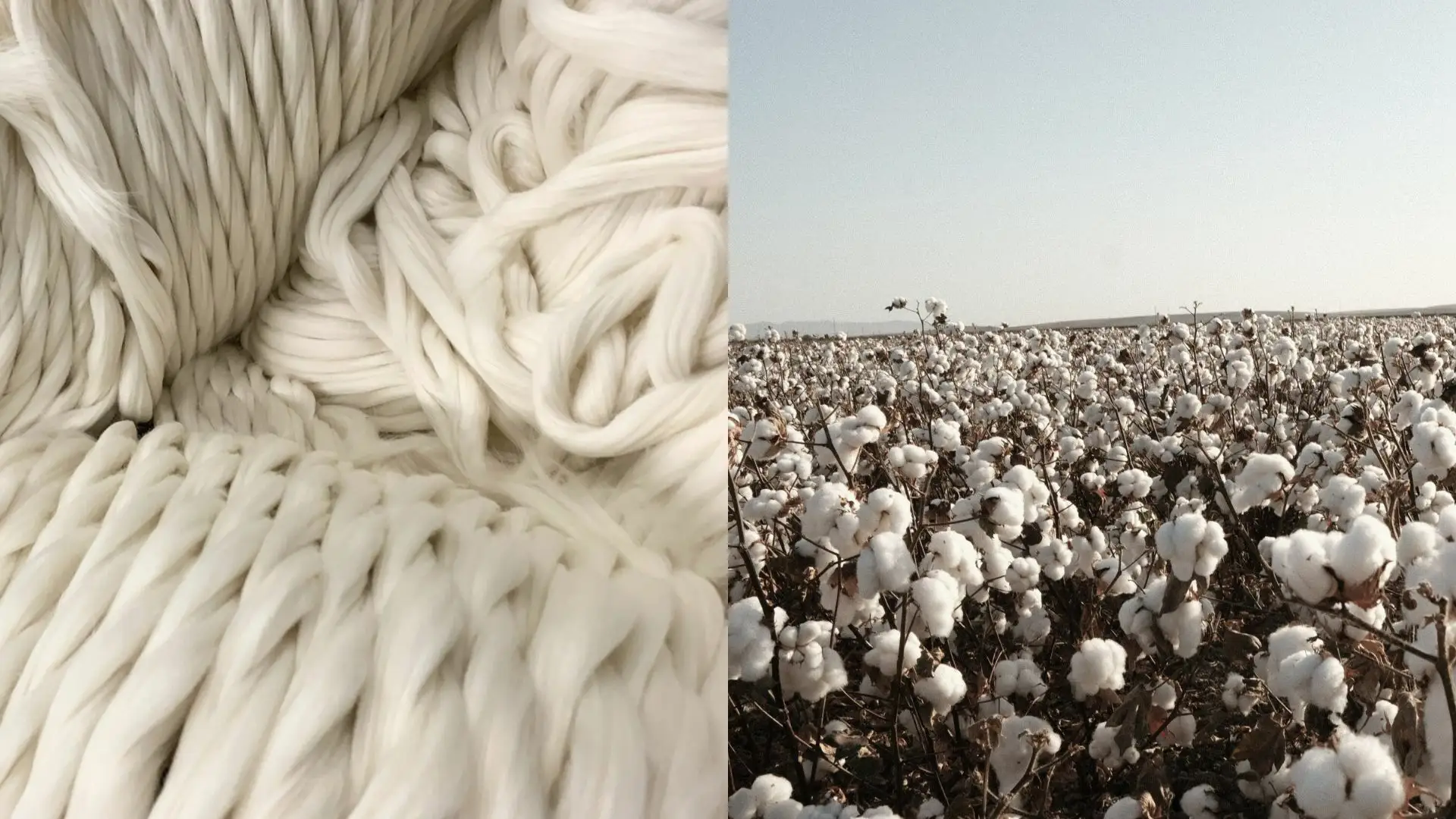 PYRATEX®